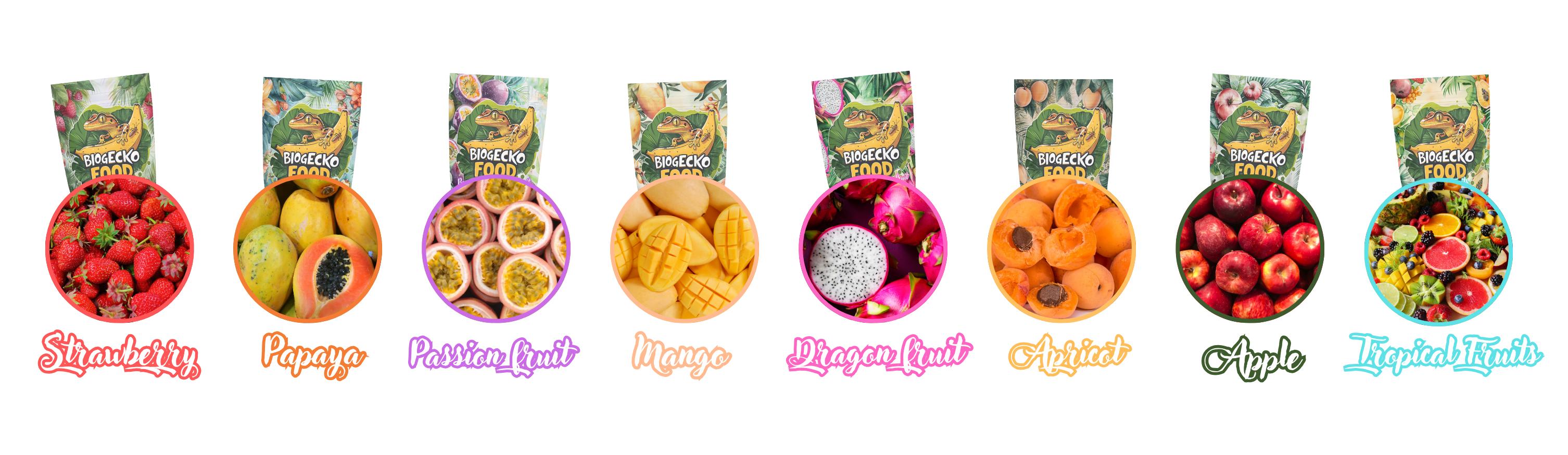 Pełnoporcjowa karma w proszku dla gekonów z Nowej Kaledonii marki BioGecko Food